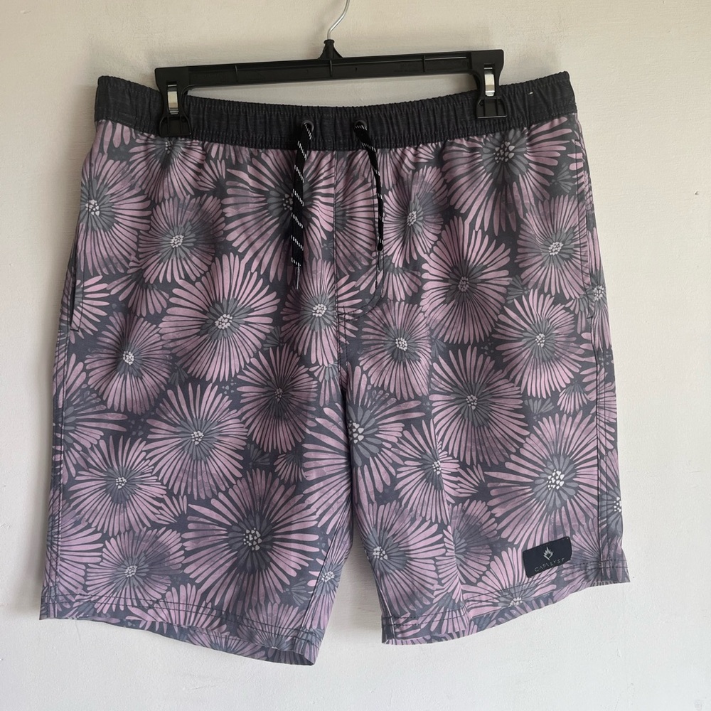 Catalyst Floral Patterned Swim Shorts - Pink and Gray